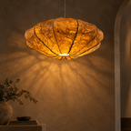 Chandra Aurora Pendant Lamp | Natural Banana Fiber Paper Hanging Light | Moon-Inspired Ambient Lighting